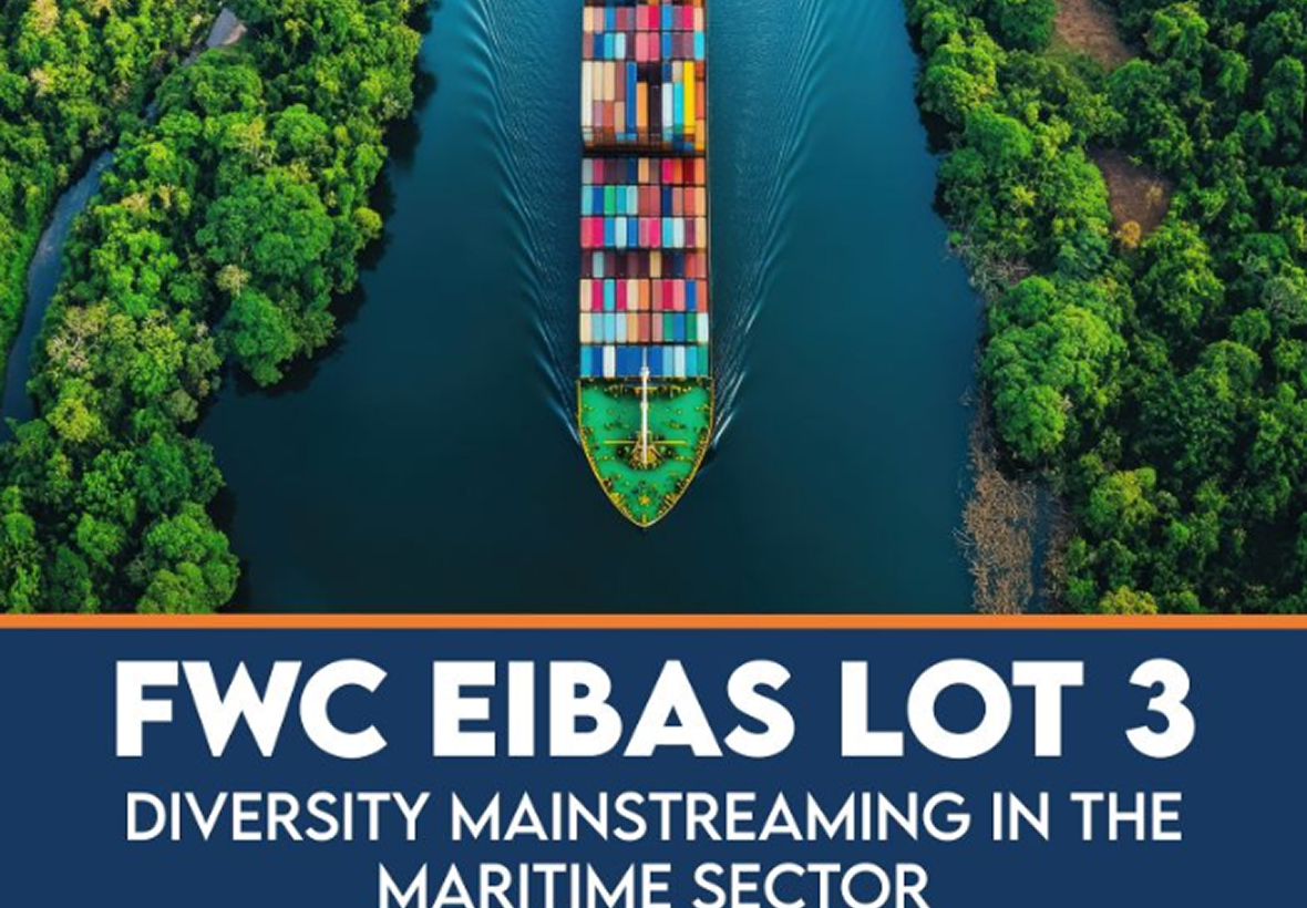 Diversity Mainstreaming in the Maritime Sector – Data Analytics & Business Insights Interface 2